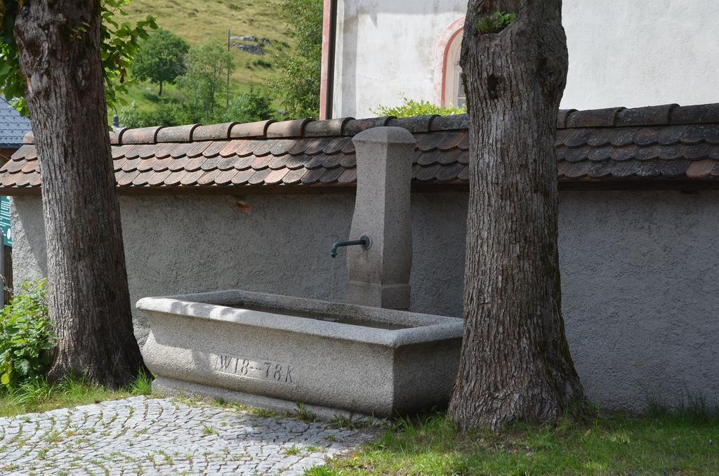 Ferienwohnungen Sternenthal Menzenschwand-Hinterdorf Kültér fotó