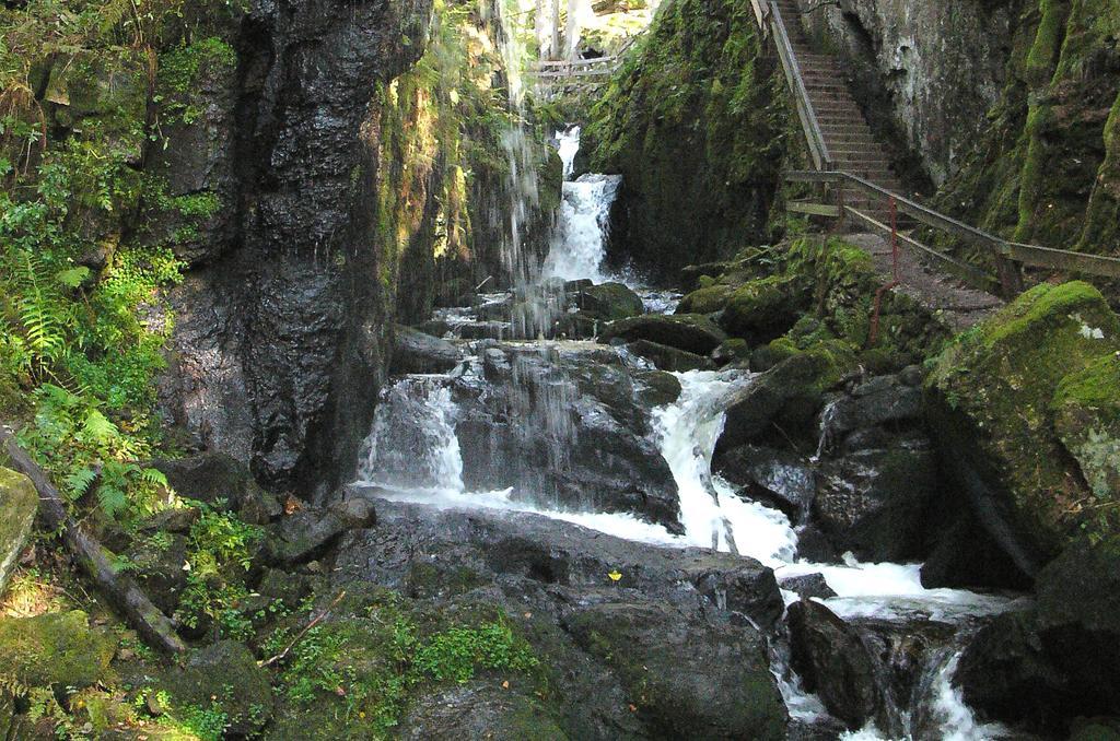 Ferienwohnungen Sternenthal Menzenschwand-Hinterdorf Kültér fotó