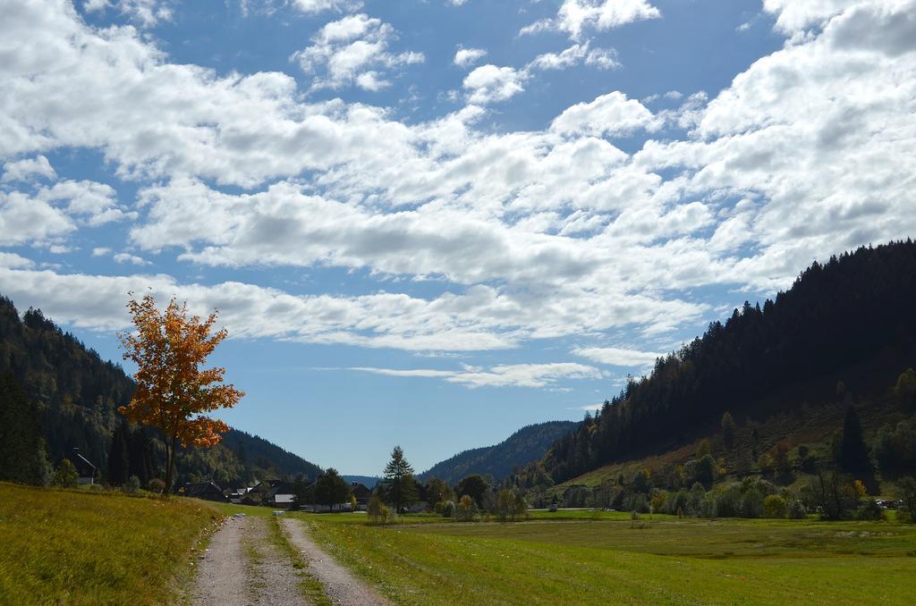 Ferienwohnungen Sternenthal Menzenschwand-Hinterdorf Kültér fotó