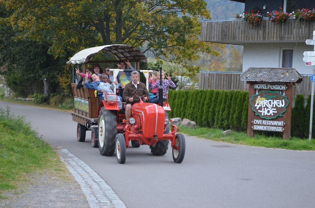 Ferienwohnungen Sternenthal Menzenschwand-Hinterdorf Kültér fotó