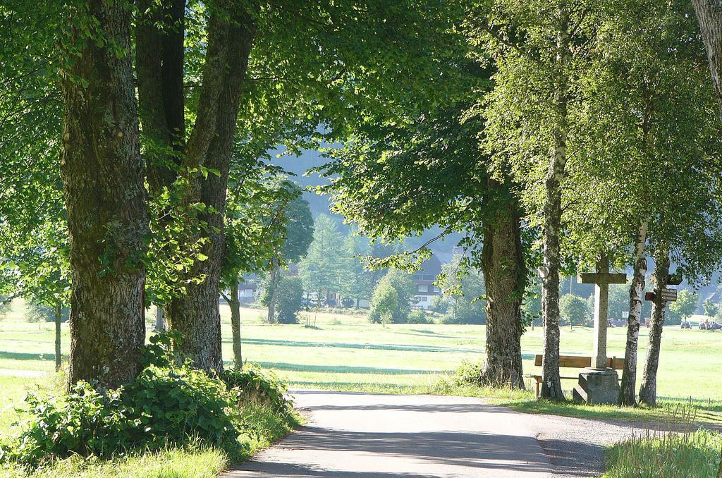 Ferienwohnungen Sternenthal Menzenschwand-Hinterdorf Kültér fotó