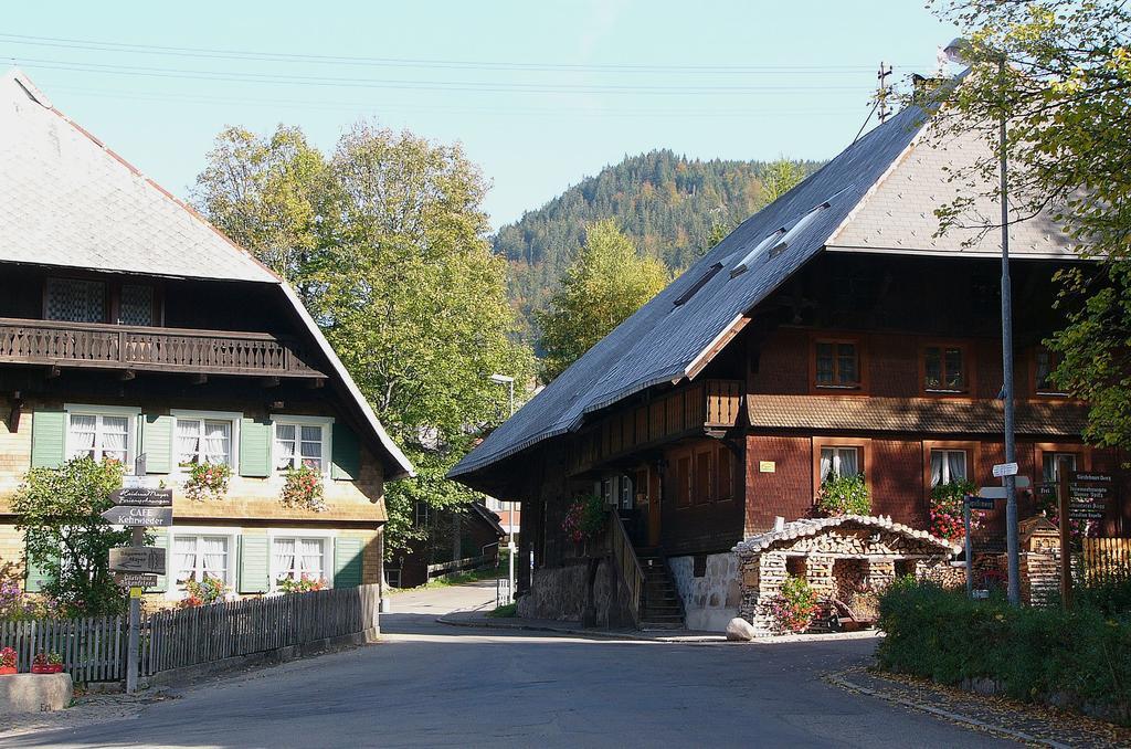 Ferienwohnungen Sternenthal Menzenschwand-Hinterdorf Kültér fotó