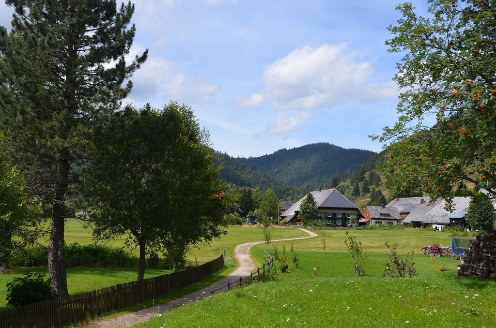 Ferienwohnungen Sternenthal Menzenschwand-Hinterdorf Kültér fotó