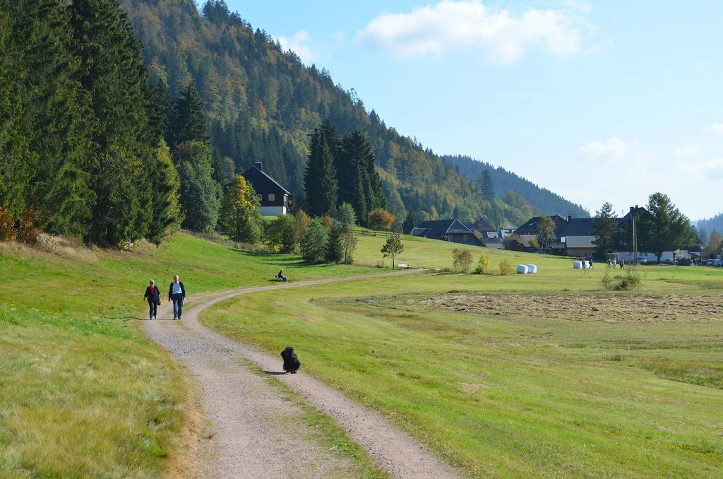 Ferienwohnungen Sternenthal Menzenschwand-Hinterdorf Kültér fotó