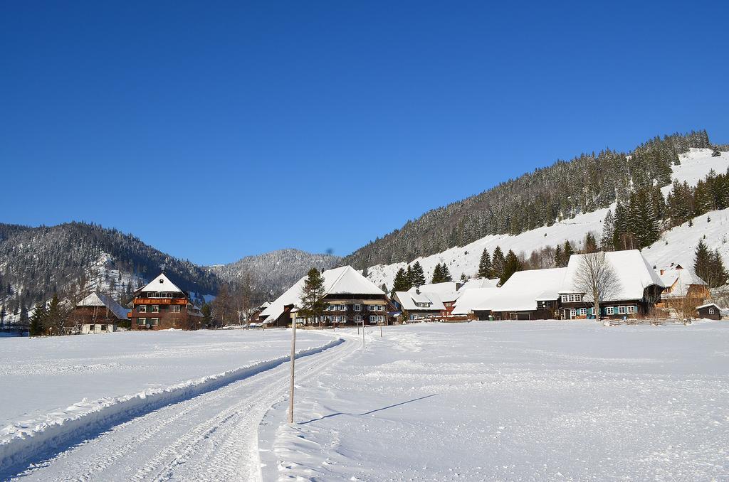 Ferienwohnungen Sternenthal Menzenschwand-Hinterdorf Kültér fotó