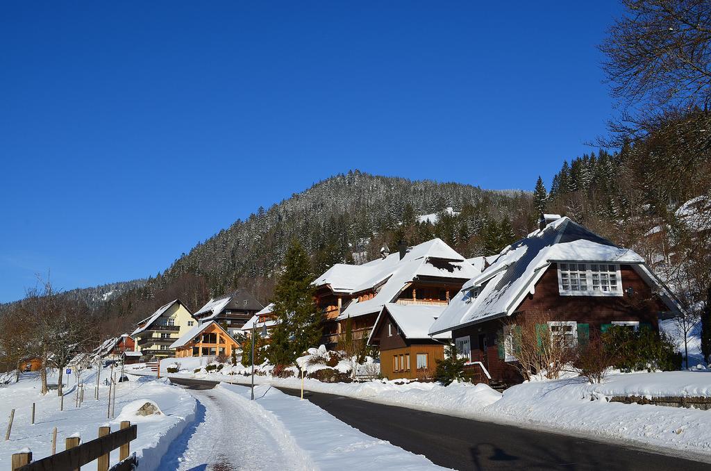 Ferienwohnungen Sternenthal Menzenschwand-Hinterdorf Kültér fotó